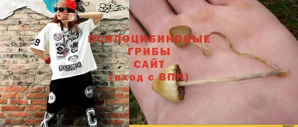 Альфа ПВП Зеленокумск