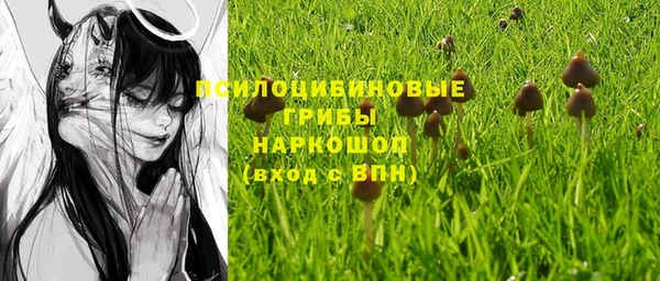 прущая мука Заволжье