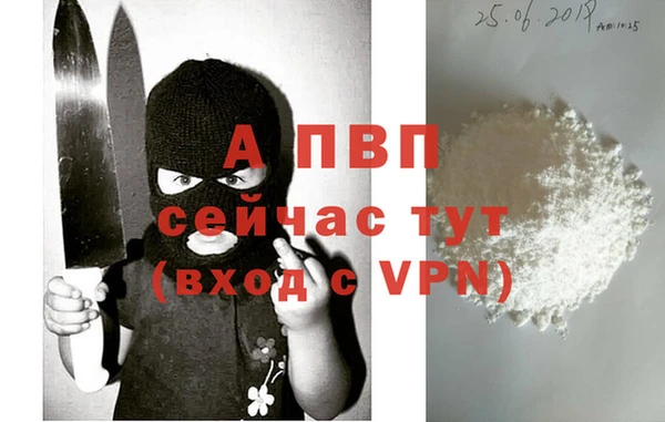 крисы Инта