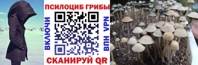 Купить закладки  Клинцы  Псилоцибиновые грибы мухоморы 
